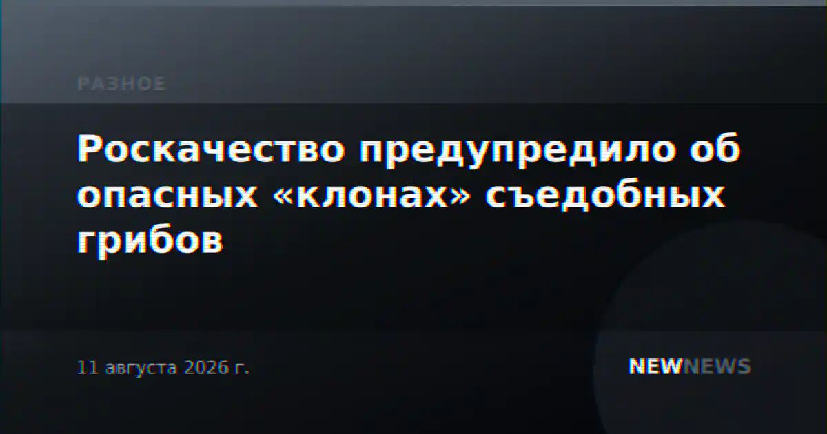 Роскачество предупредило об опасных «клонах» съедобных грибов
