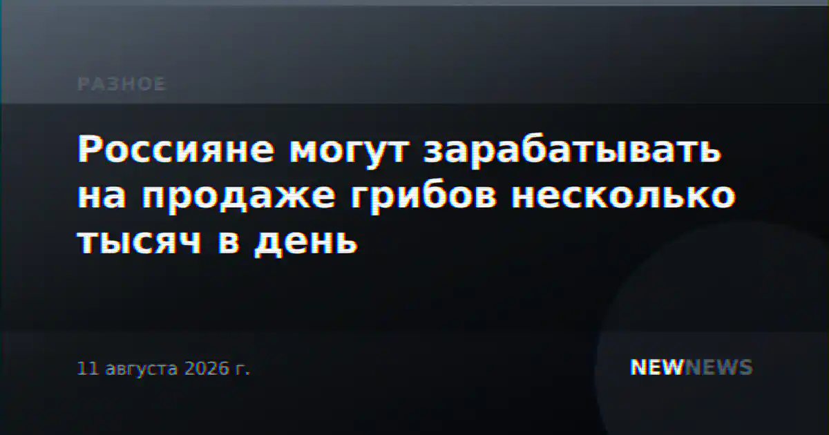 Россияне могут зарабатывать на продаже грибов несколько тысяч в день