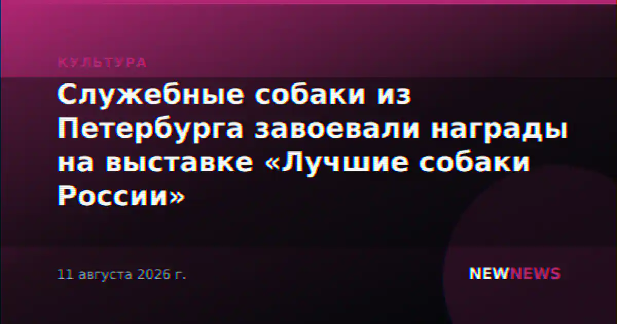 Служебные собаки из Петербурга завоевали награды на выставке «Лучшие собаки России»