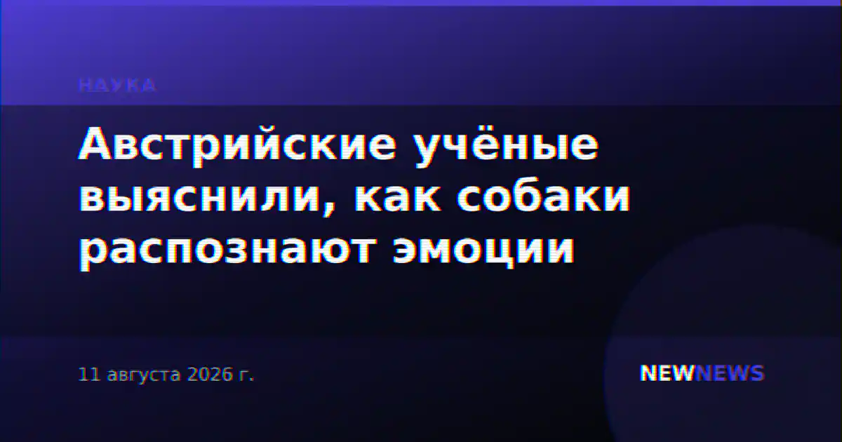 Австрийские учёные выяснили, как собаки распознают эмоции
