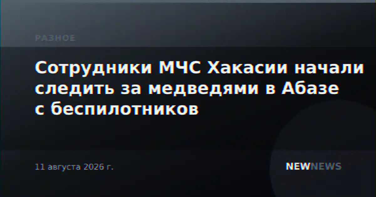 Сотрудники МЧС Хакасии начали следить за медведями в Абазе с беспилотников