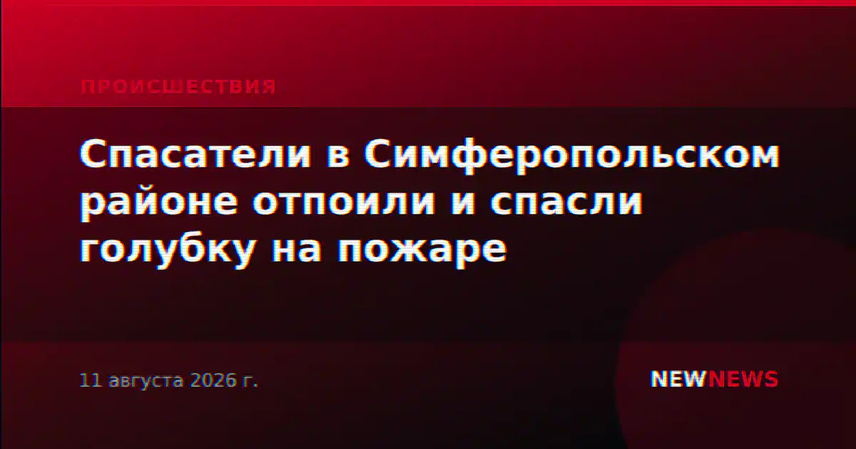 Спасатели в Симферопольском районе отпоили и спасли голубку на пожаре