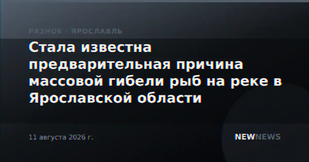 Стала известна предварительная причина массовой гибели рыб на реке в Ярославской области