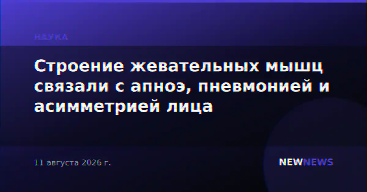 Строение жевательных мышц связали с апноэ, пневмонией и асимметрией лица