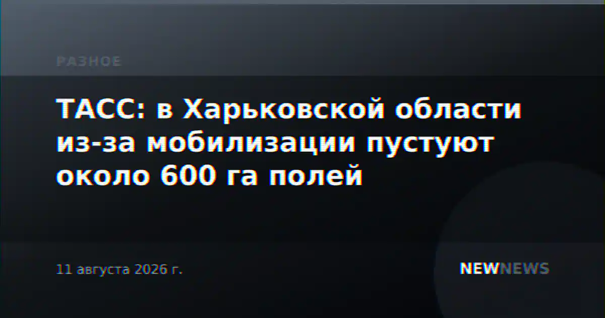 ТАСС: в Харьковской области из-за мобилизации пустуют около 600 га полей