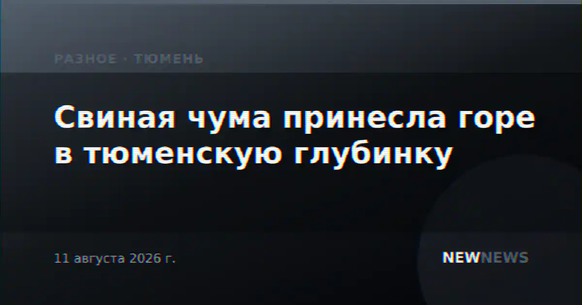 Свиная чума принесла горе в тюменскую глубинку