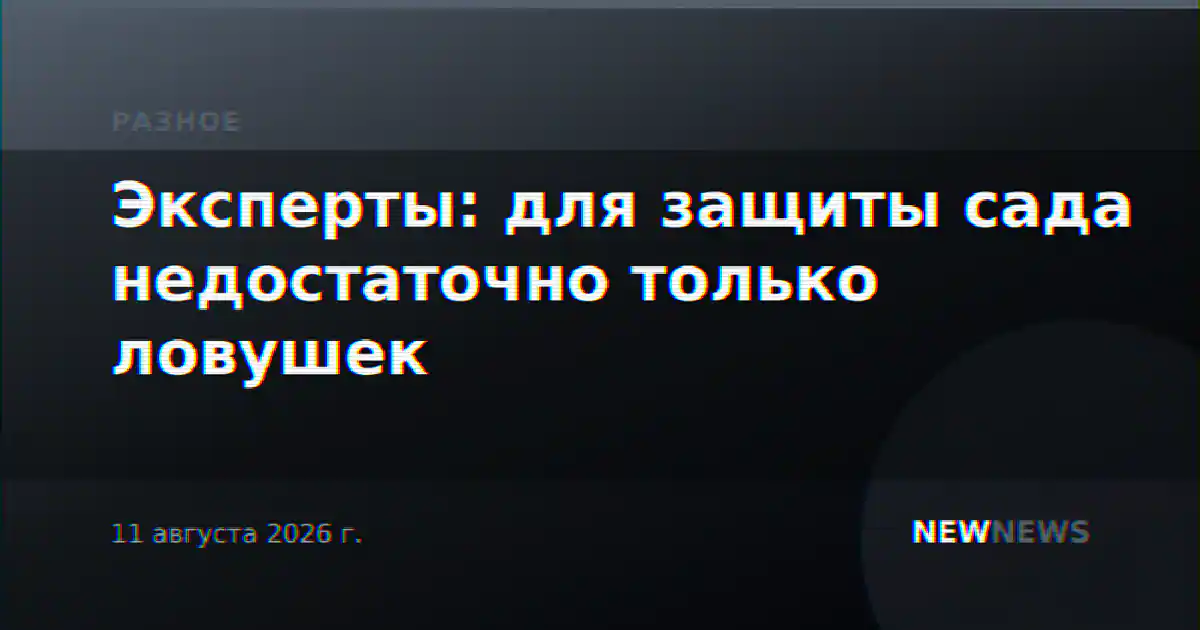 Эксперты: для защиты сада недостаточно только ловушек