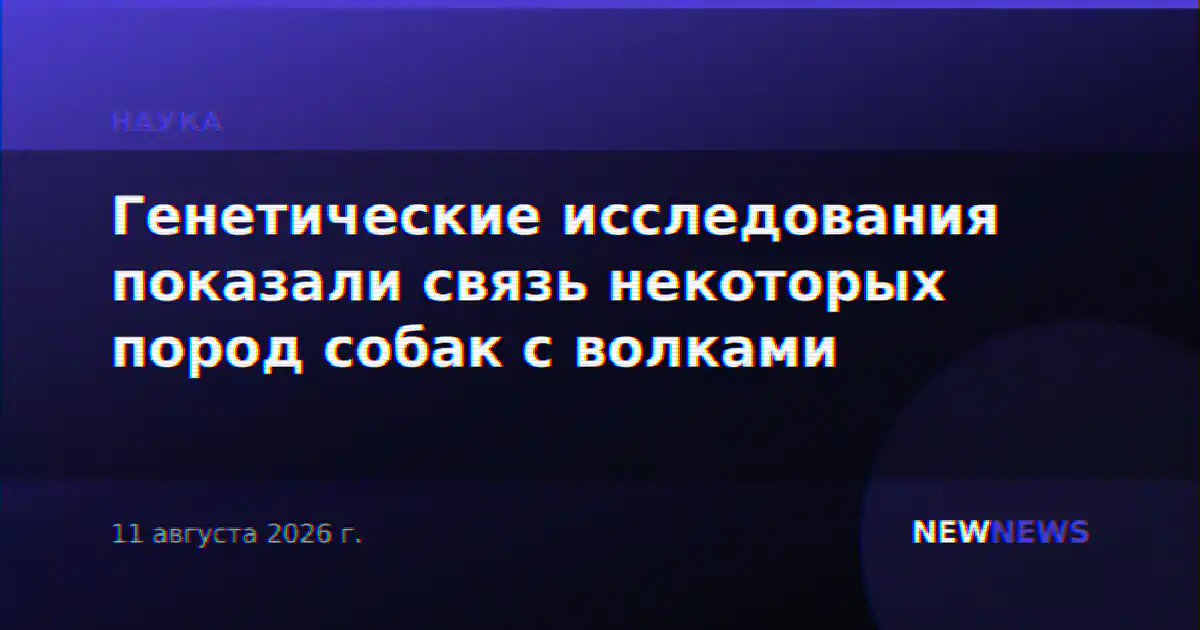 Генетические исследования показали связь некоторых пород собак с волками