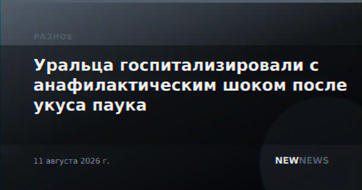 Уральца госпитализировали с анафилактическим шоком после укуса паука