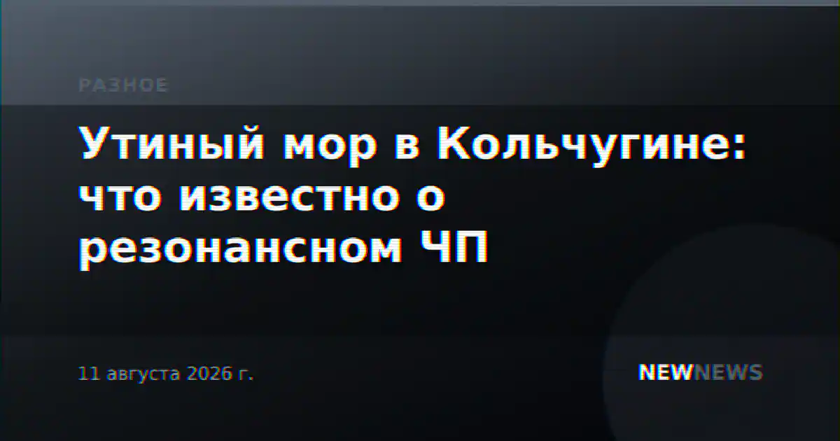 Утиный мор в Кольчугине: что известно о резонансном ЧП