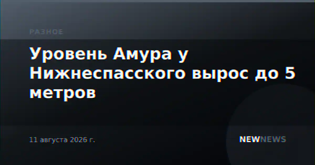 Уровень Амура у Нижнеспасского вырос до 5 метров