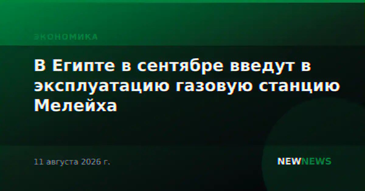 В Египте в сентябре введут в эксплуатацию газовую станцию Мелейха