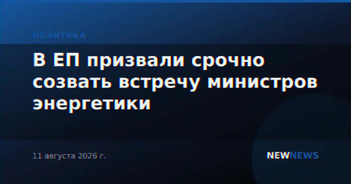В ЕП призвали срочно созвать встречу министров энергетики