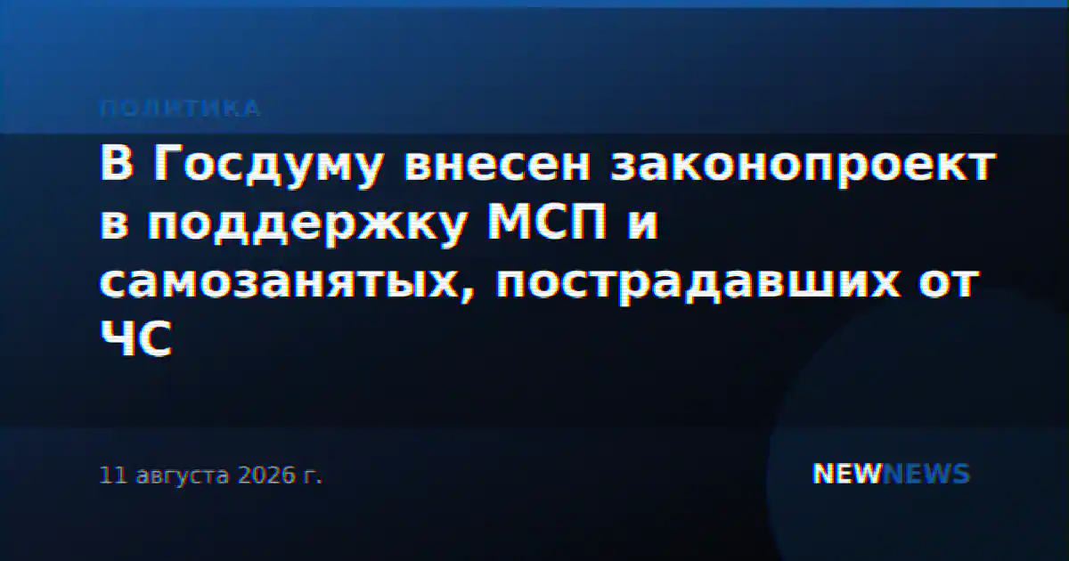 В Госдуму внесен законопроект в поддержку МСП и самозанятых, пострадавших от ЧС