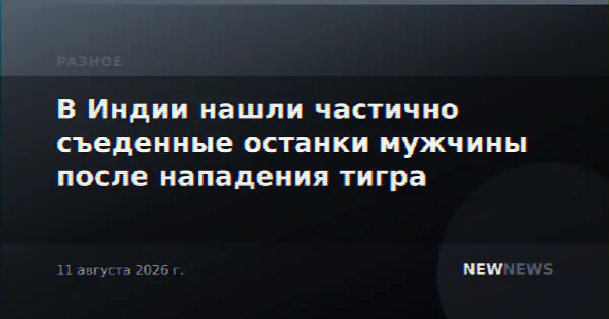 В Индии нашли частично съеденные останки мужчины после нападения тигра