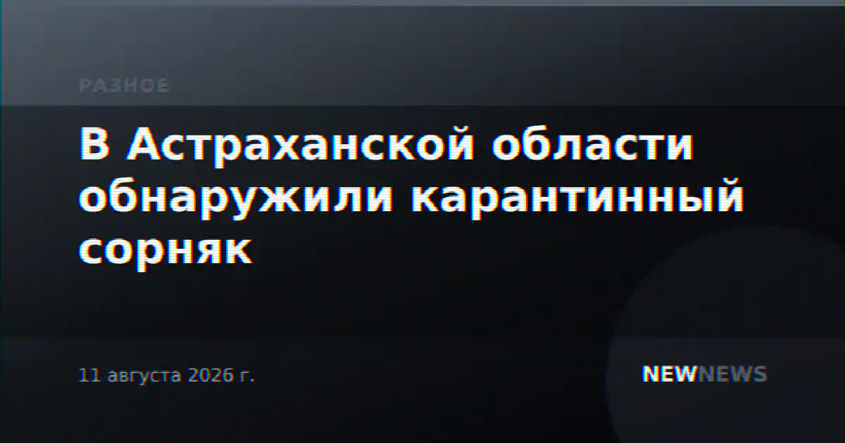 В Астраханской области обнаружили карантинный сорняк