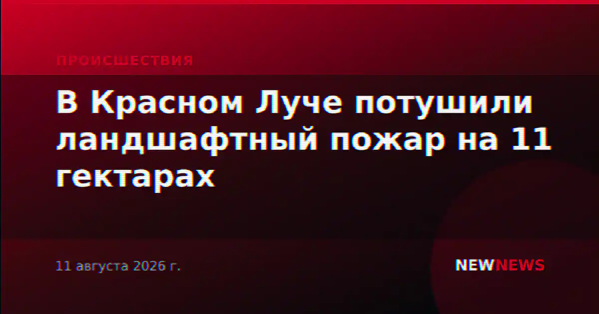 В Красном Луче потушили ландшафтный пожар на 11 гектарах