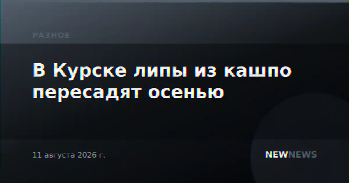 В Курске липы из кашпо пересадят осенью