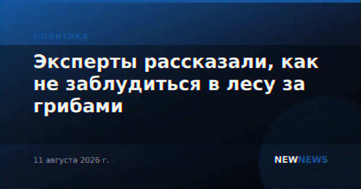Эксперты рассказали, как не заблудиться в лесу за грибами
