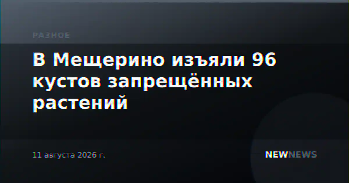В Мещерино изъяли 96 кустов запрещённых растений