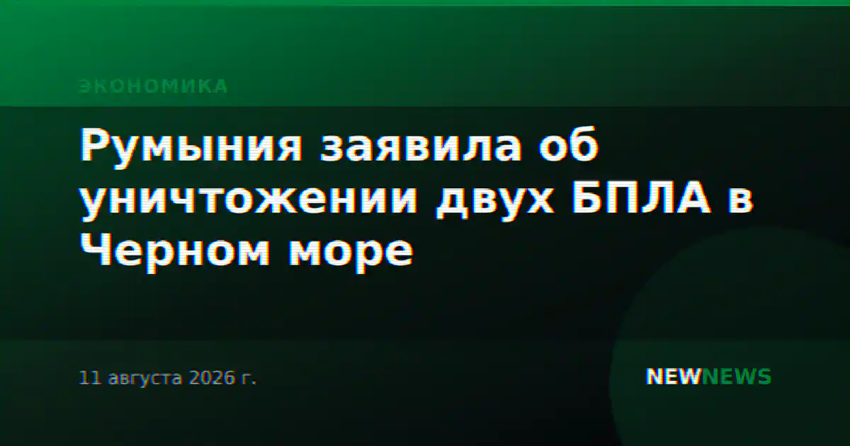 Румыния заявила об уничтожении двух БПЛА в Черном море