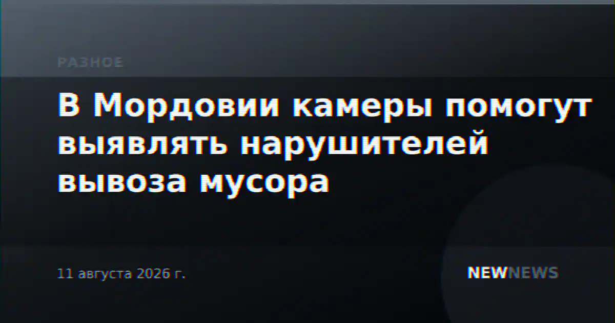 В Мордовии камеры помогут выявлять нарушителей вывоза мусора