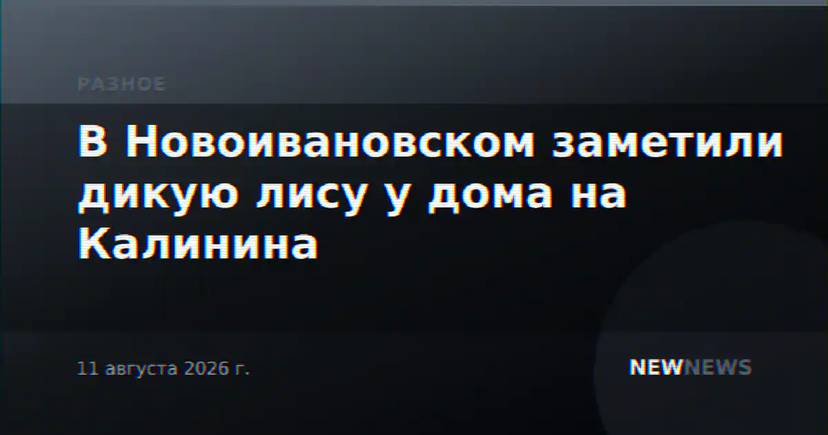 В Новоивановском заметили дикую лису у дома на Калинина