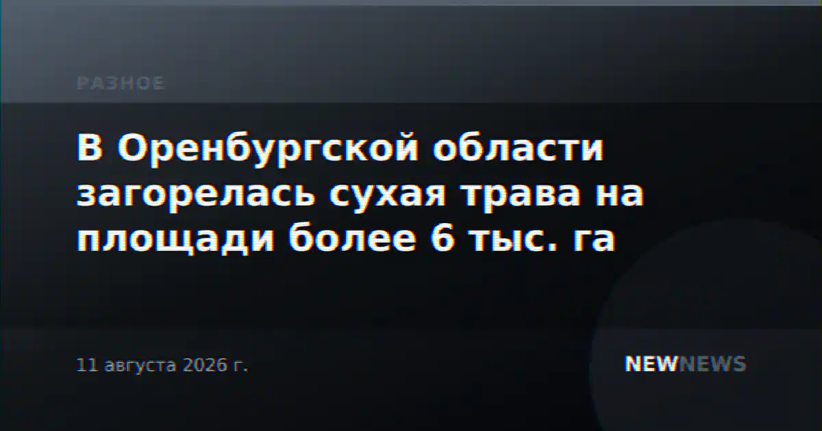 В Оренбургской области загорелась сухая трава на площади более 6 тыс. га