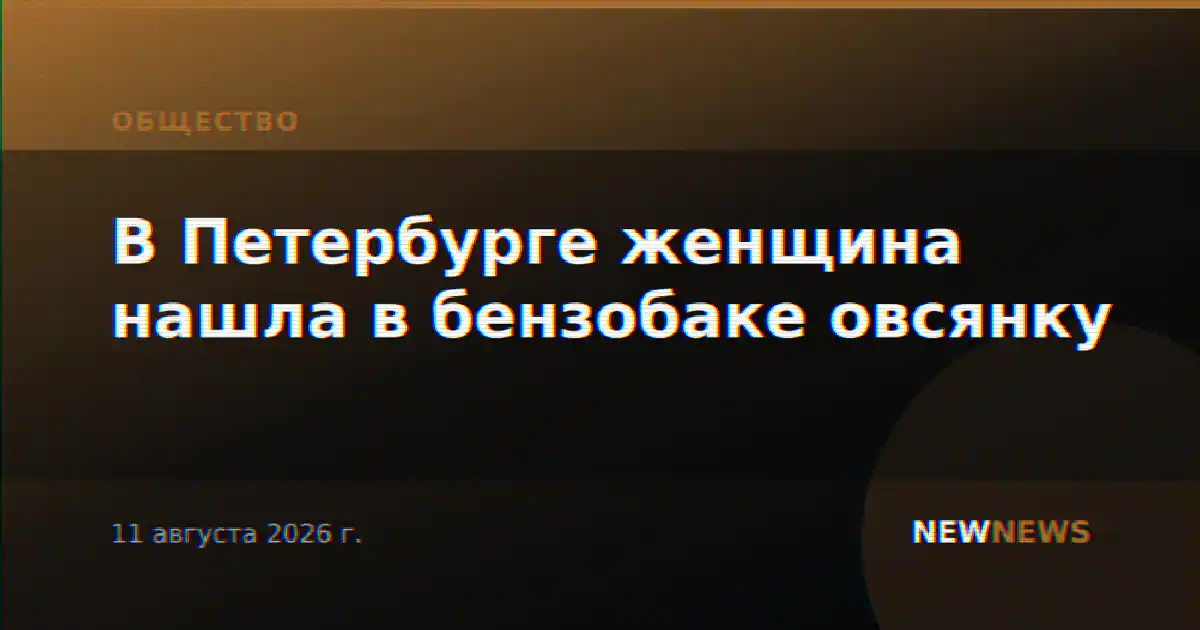 В Петербурге женщина нашла в бензобаке овсянку