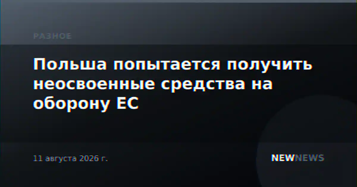 Польша попытается получить неосвоенные средства на оборону ЕС