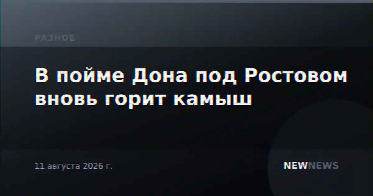 В пойме Дона под Ростовом вновь горит камыш