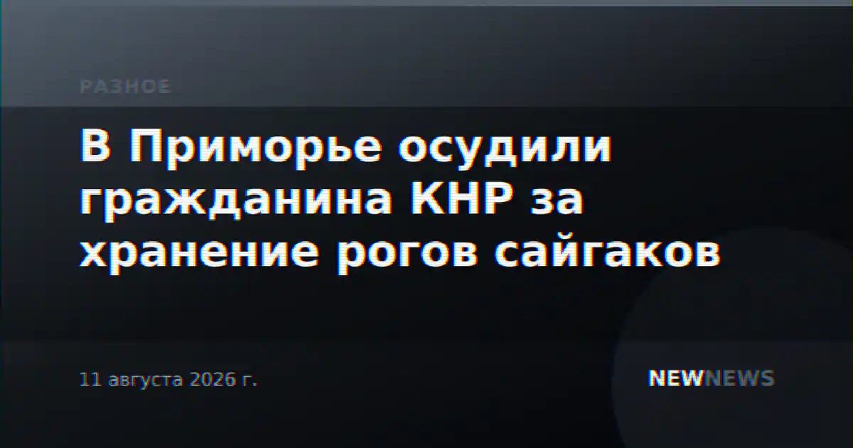 В Приморье осудили гражданина КНР за хранение рогов сайгаков