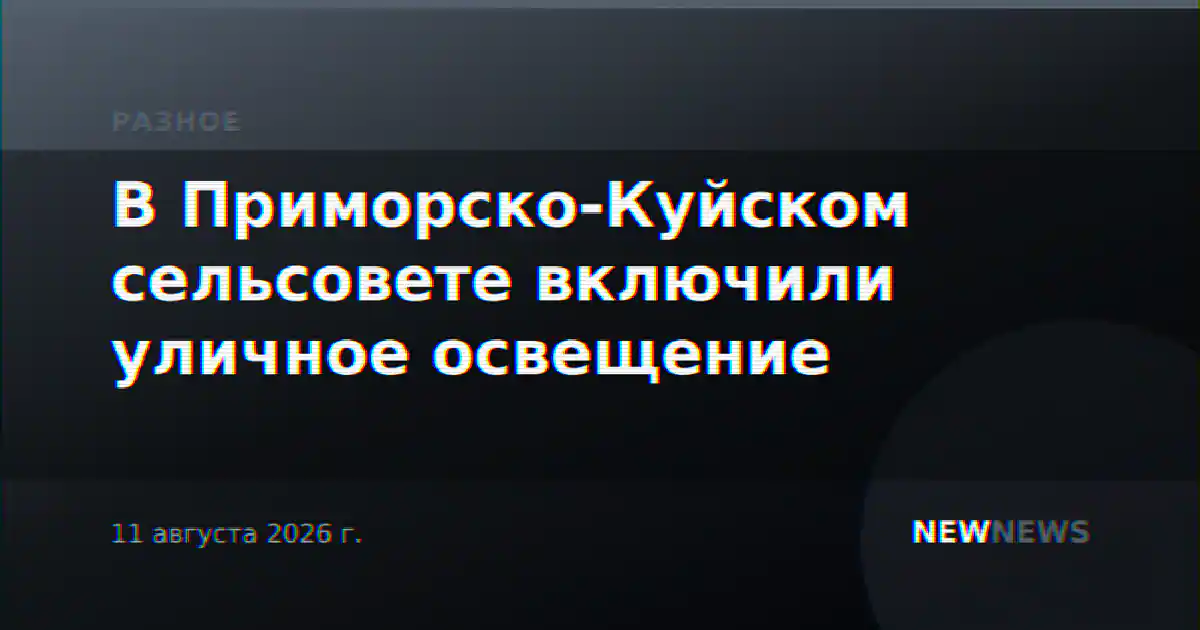 В Приморско-Куйском сельсовете включили уличное освещение