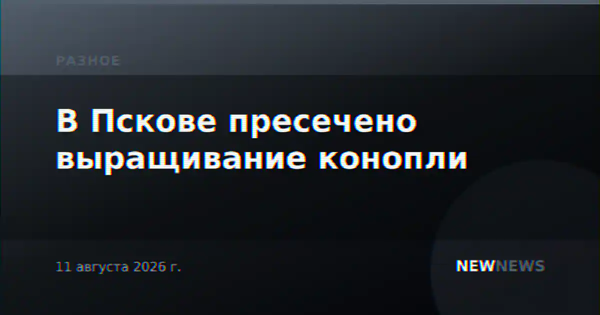 В Пскове пресечено выращивание конопли