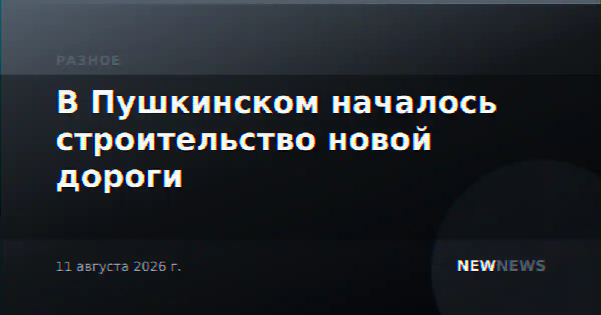 В Пушкинском началось строительство новой дороги
