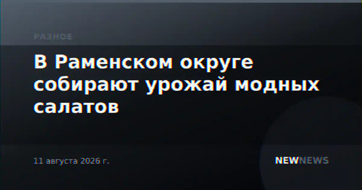 В Раменском округе собирают урожай модных салатов
