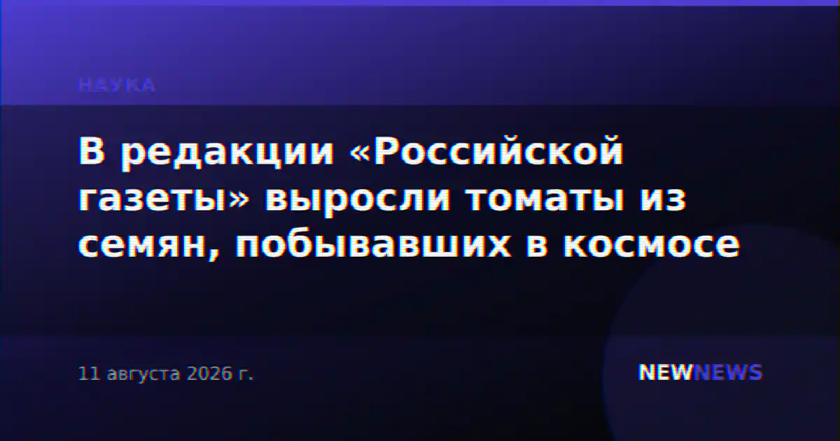 В редакции «Российской газеты» выросли томаты из семян, побывавших в космосе