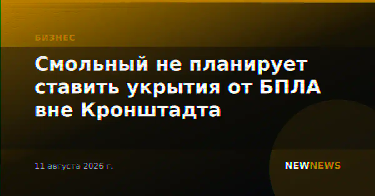 Смольный не планирует ставить укрытия от БПЛА вне Кронштадта