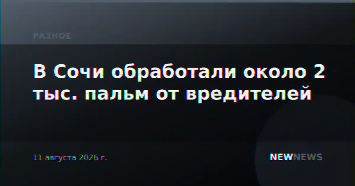 В Сочи обработали около 2 тыс. пальм от вредителей