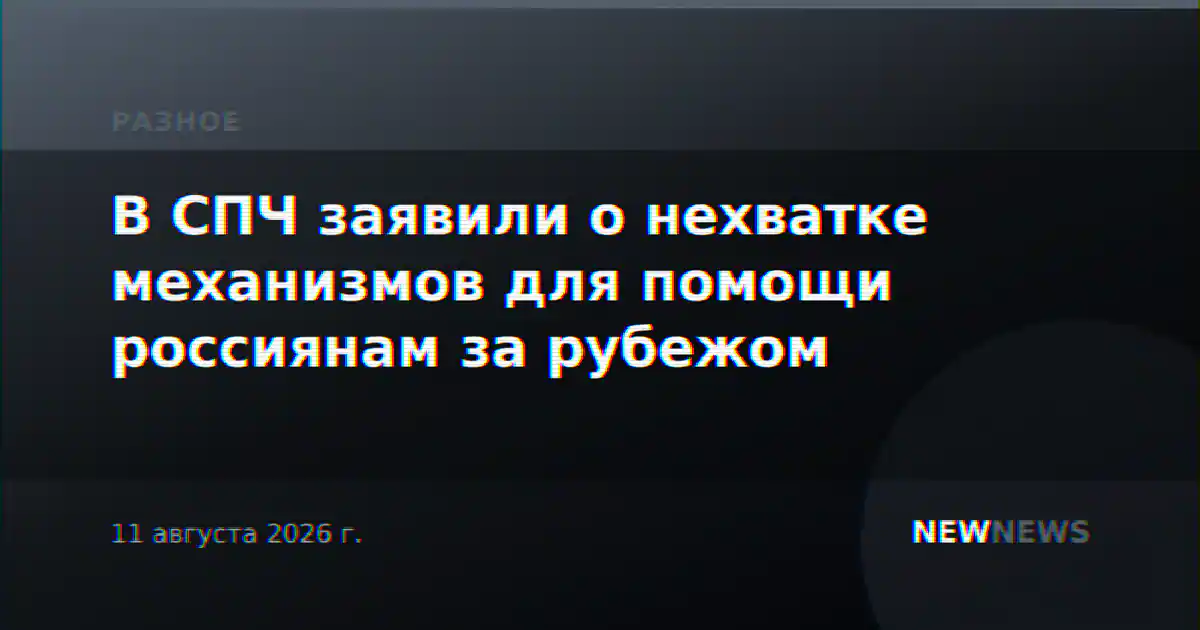 В СПЧ заявили о нехватке механизмов для помощи россиянам за рубежом