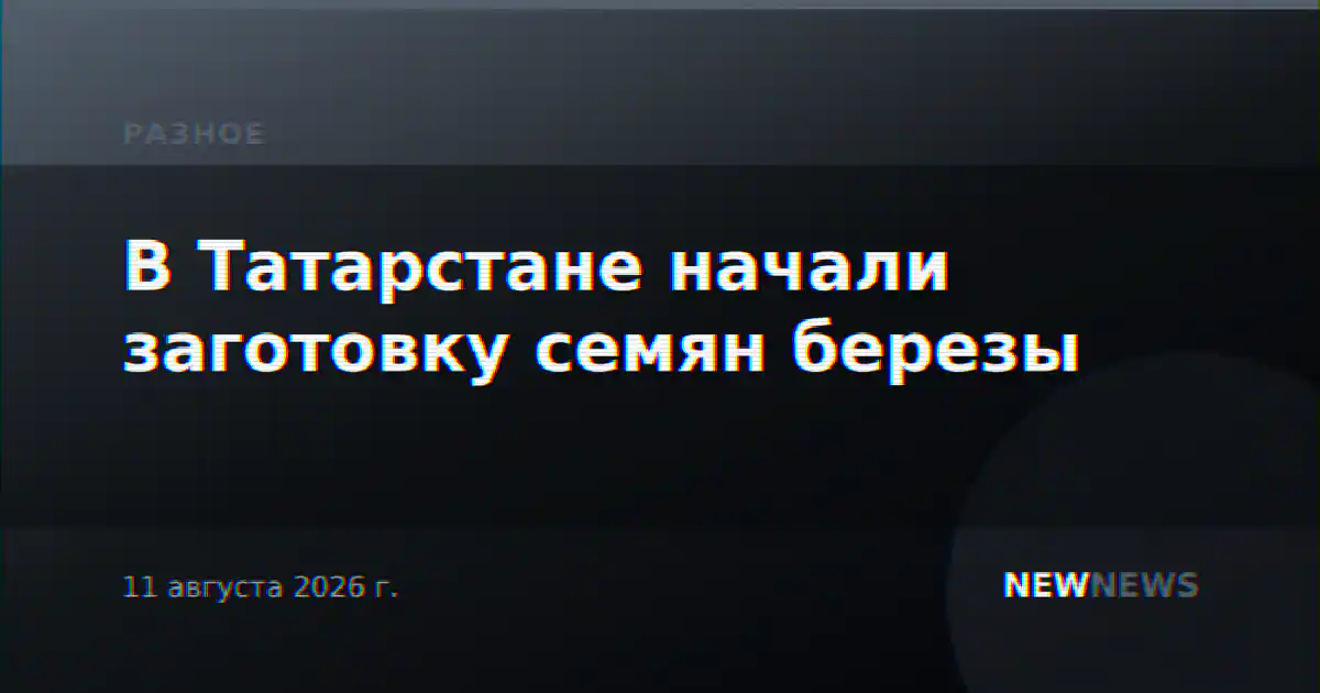 В Татарстане начали заготовку семян березы