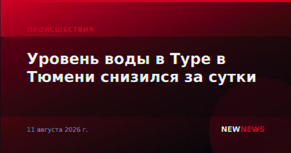 Уровень воды в Туре в Тюмени снизился за сутки