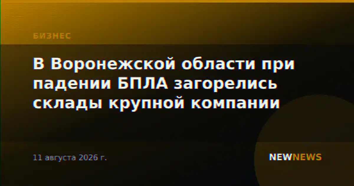 В Воронежской области при падении БПЛА загорелись склады крупной компании