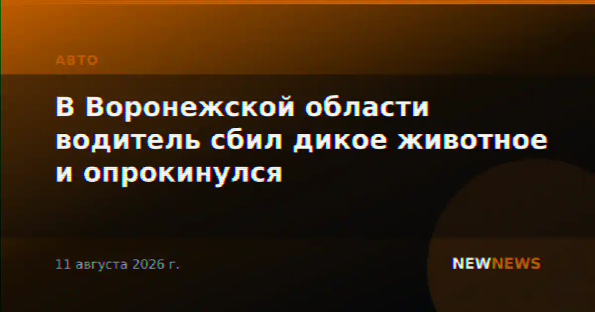 В Воронежской области водитель сбил дикое животное и опрокинулся