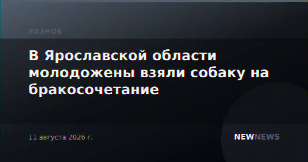 В Ярославской области молодожены взяли собаку на бракосочетание