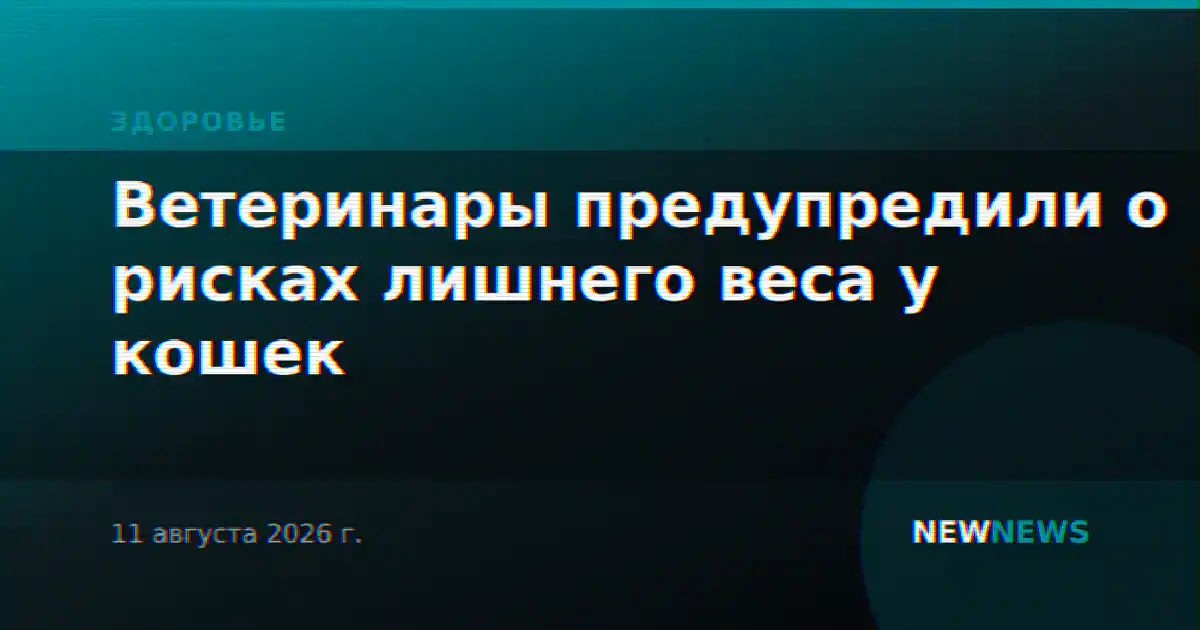 Ветеринары предупредили о рисках лишнего веса у кошек