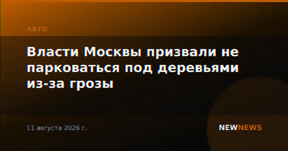 Власти Москвы призвали не парковаться под деревьями из-за грозы