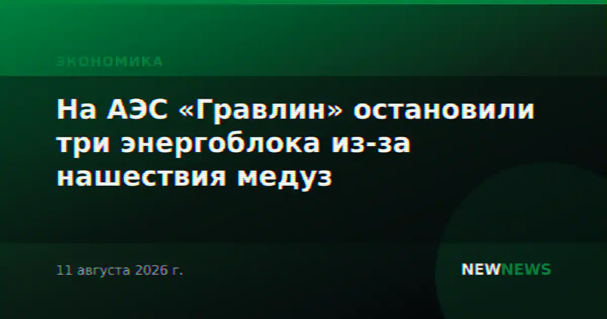На АЭС «Гравлин» остановили три энергоблока из-за нашествия медуз