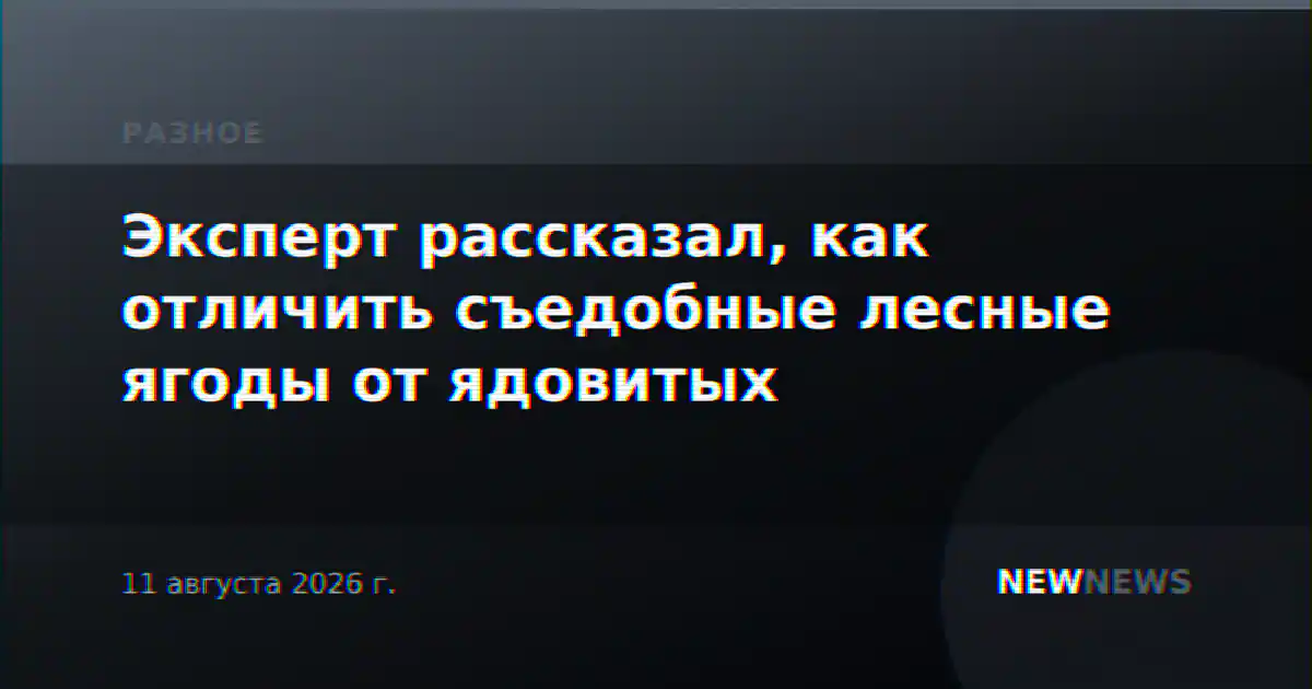 Эксперт рассказал, как отличить съедобные лесные ягоды от ядовитых