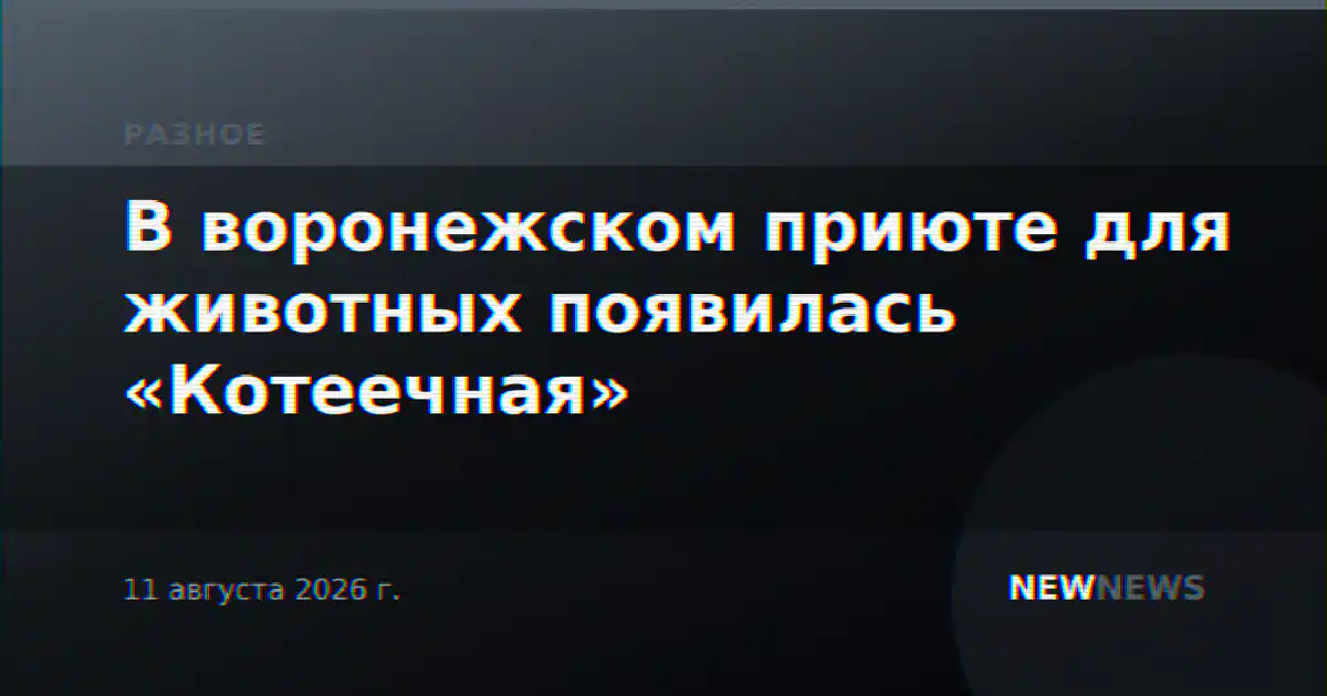 В воронежском приюте для животных появилась «Котеечная»